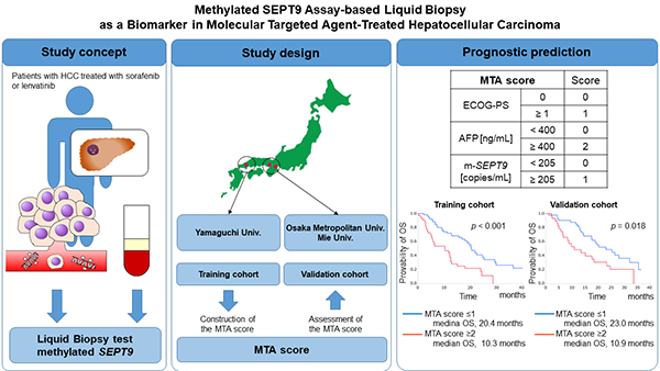 PubMed論文掲載報告 ～Hepatology International誌(IF9.046)：筆頭著者 佐伯一成講師～