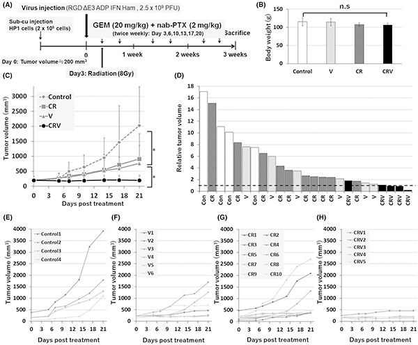 PubMed論文掲載報告 ~Cancer science誌(IF6.518):筆頭著者 篠田崇平~