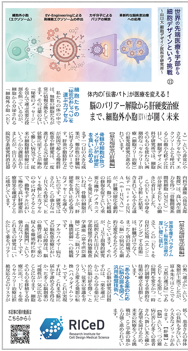 新聞記事掲載報告【体内の「伝書鳩」が医療を変える!脳のバリア解除から肝硬変治療まで、細胞外小胞(EVs)が拓く未来】